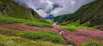 VALLEY OF FLOWERS